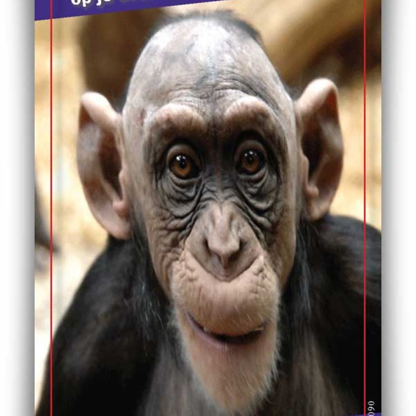 Bemoedigingskaart - 'Je stamt niet van de apen af' - 44090 -  Kaarten bij MajesticAlly