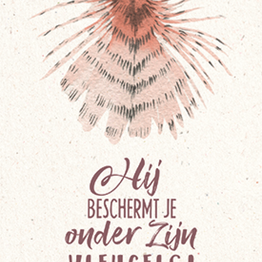 Hij beschermt je onder Zijn vleugels - 552824 -  Bemoediging bij MajesticAlly
