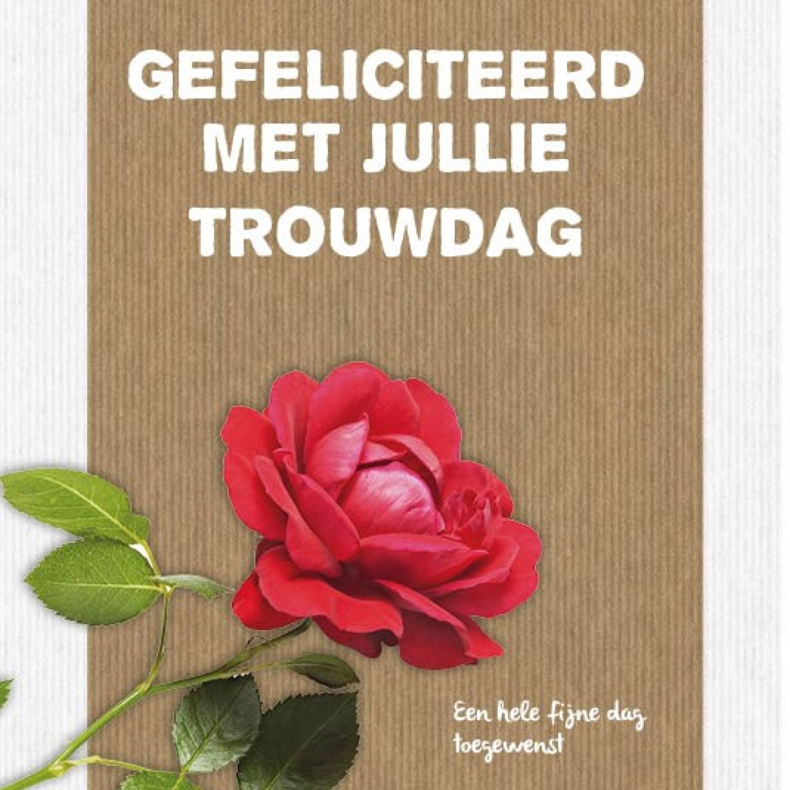 Kaart 'Trouwdag - roos' - MA17049 -  Leef!  bij MajesticAlly