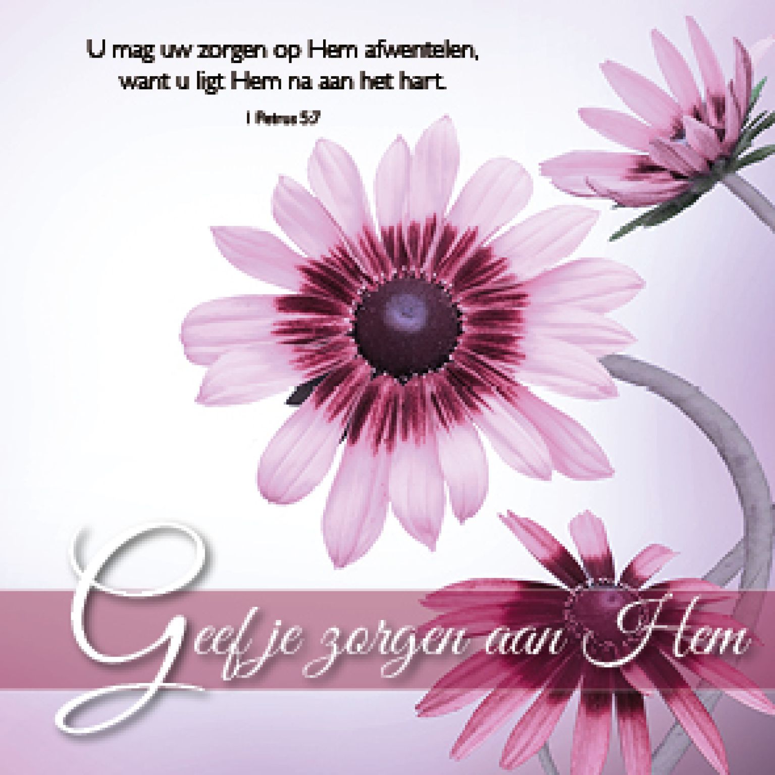 Kaart 'Geef je zorgen aan Hem' - MA46109 -  Bemoediging