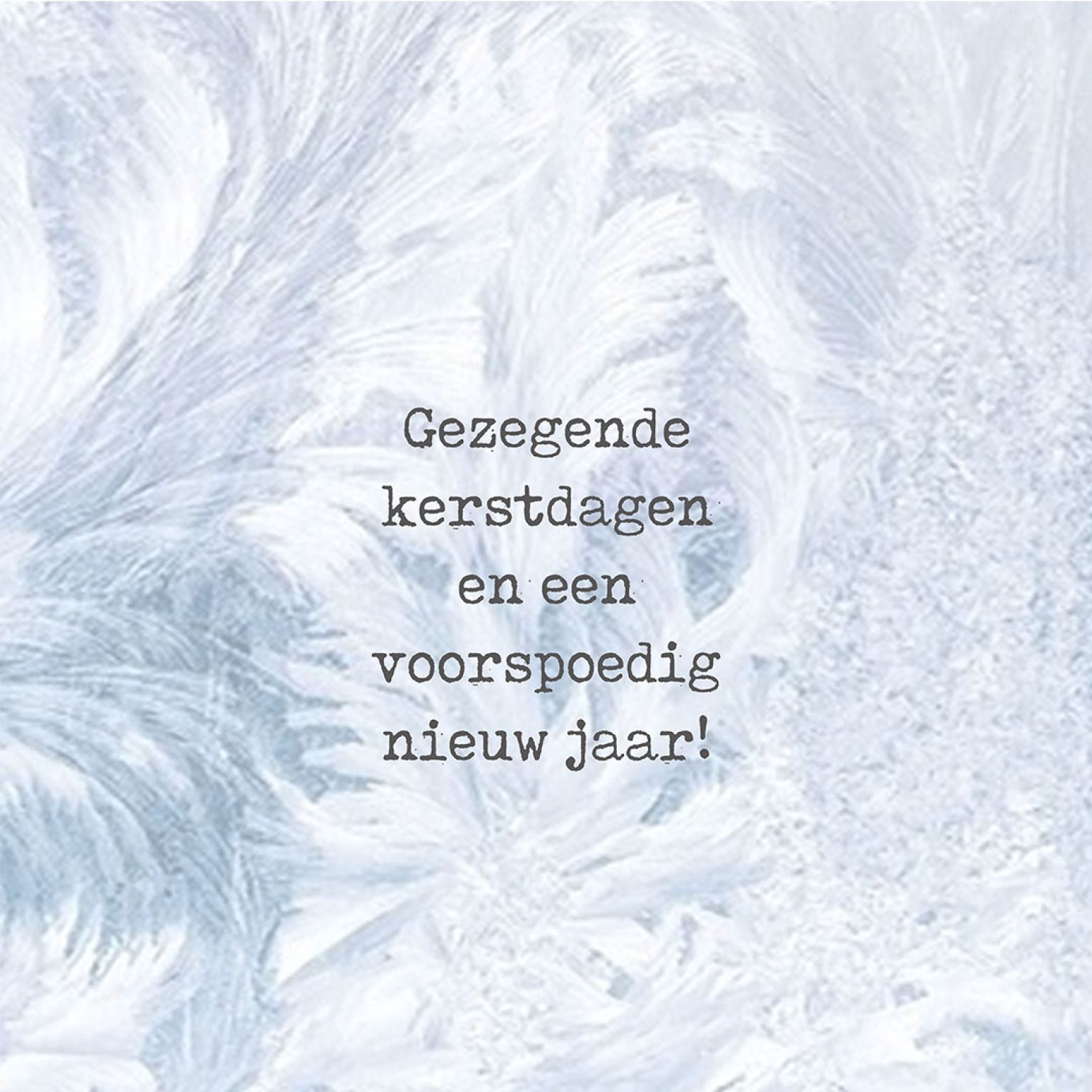 MA41224 - Minikerstkaart 'IJs'