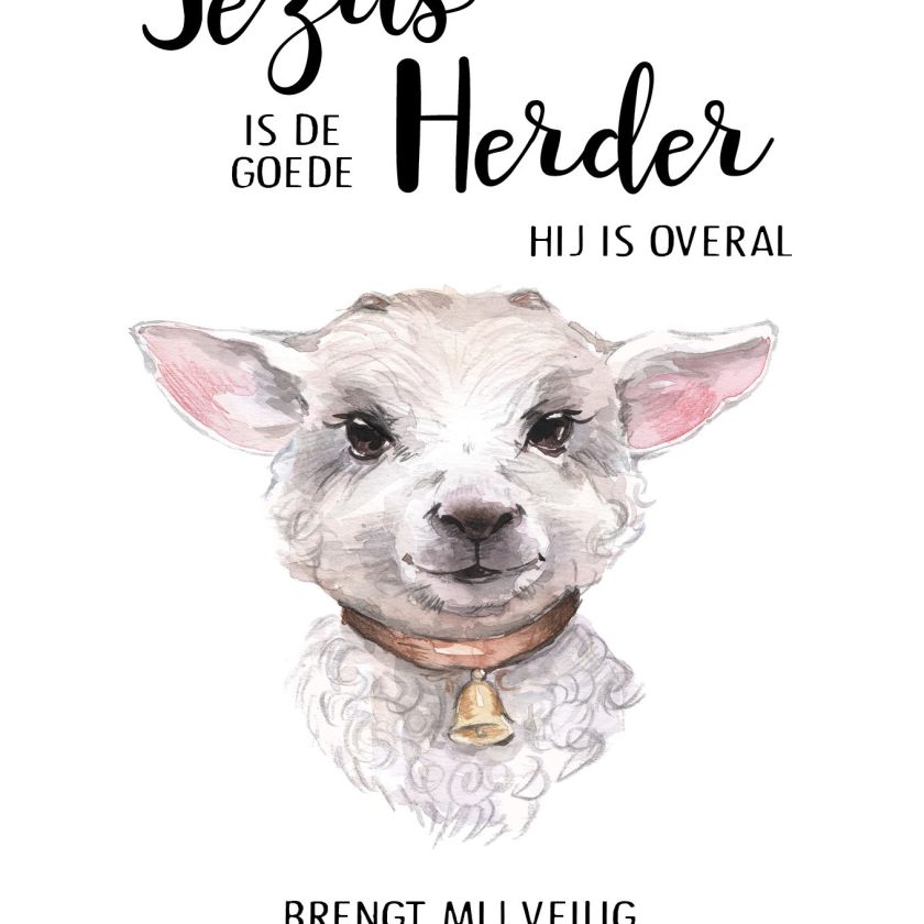 Voordeelpakket 6x kinderkaarten 'Beautiful Day' - MA25301 -  Beautiful Day bij MajesticAlly