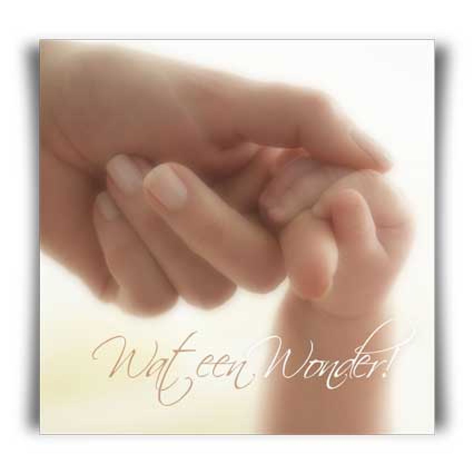 Kaart 'Wat een wonder!' - MA11031 -  David Sörensen bij MajesticAlly