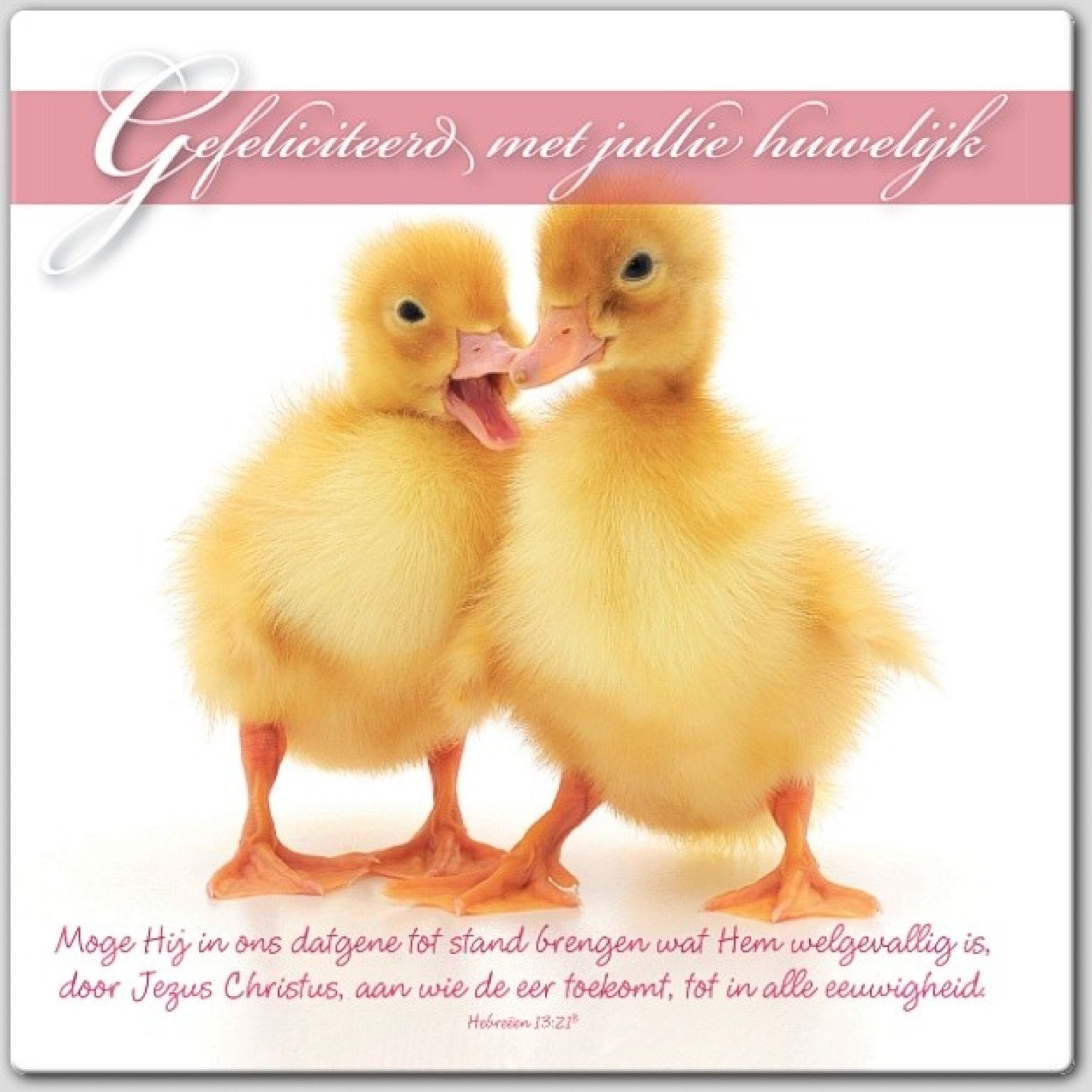 Wenskaart gefeliciteerd met jullie huwelijk - 46185 -  Huwelijk bij MajesticAlly