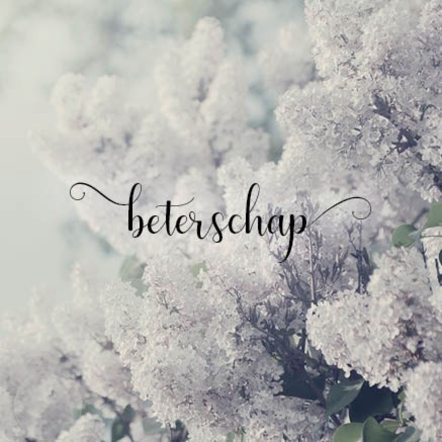 Kaart 'Beterschap - Seringen' - MA34001 -  Stille momenten bij MajesticAlly