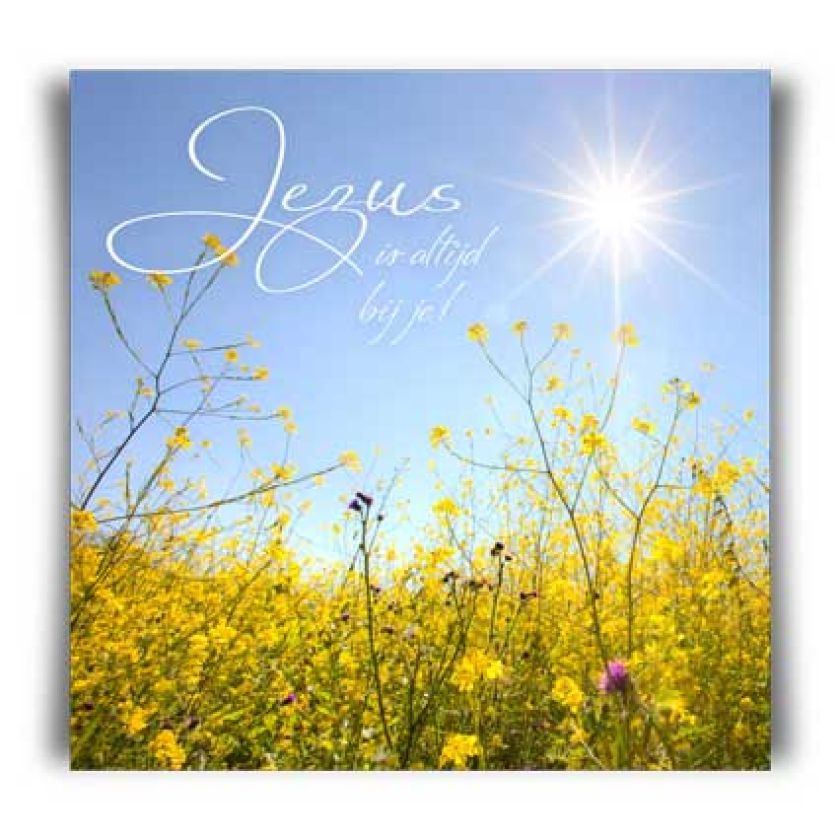 Kaart 'Jezus is altijd bij je!' - MA11028 -  David Sörensen bij MajesticAlly