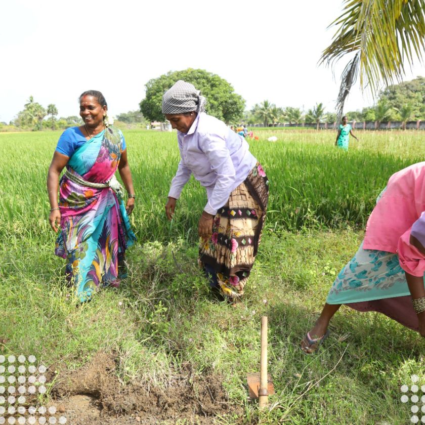 PHOTO 2024 01 22 14 36 00 2 dots 9bcc72bc