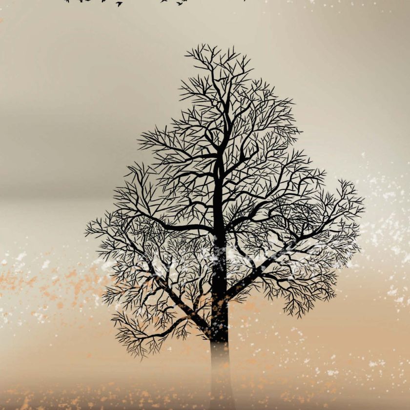 MA55043 - Wenskaart 'Boom'