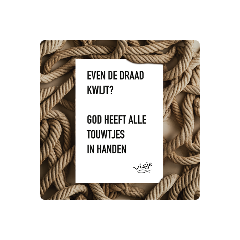 V16001 Visje Cadeaubordjes 15x15 Draad kwijt 9cf4a4fc