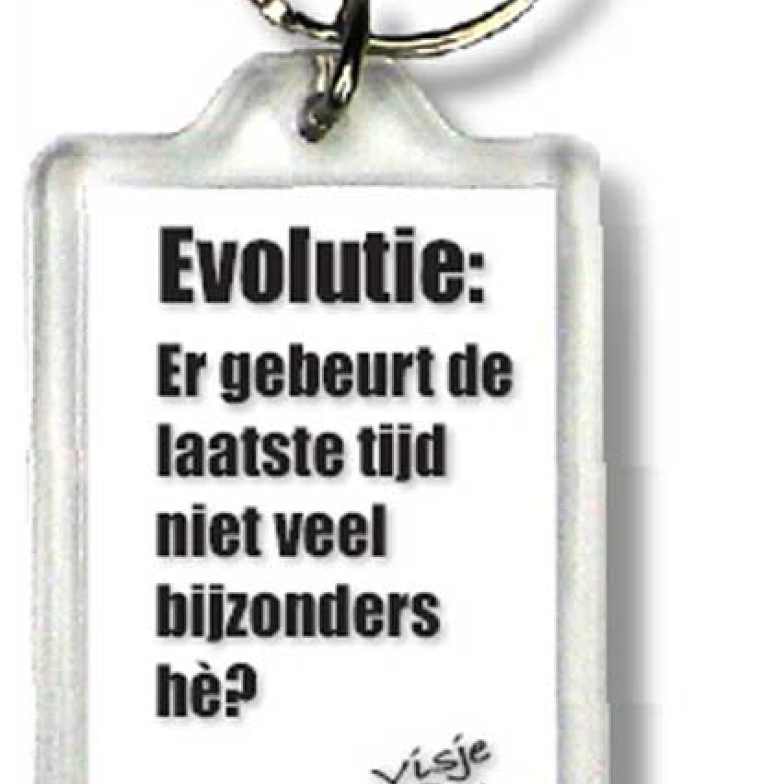 Sleutelhanger evolutie er gebeurt de laa - 44372 -  Visje Sleutelhangers bij MajesticAlly