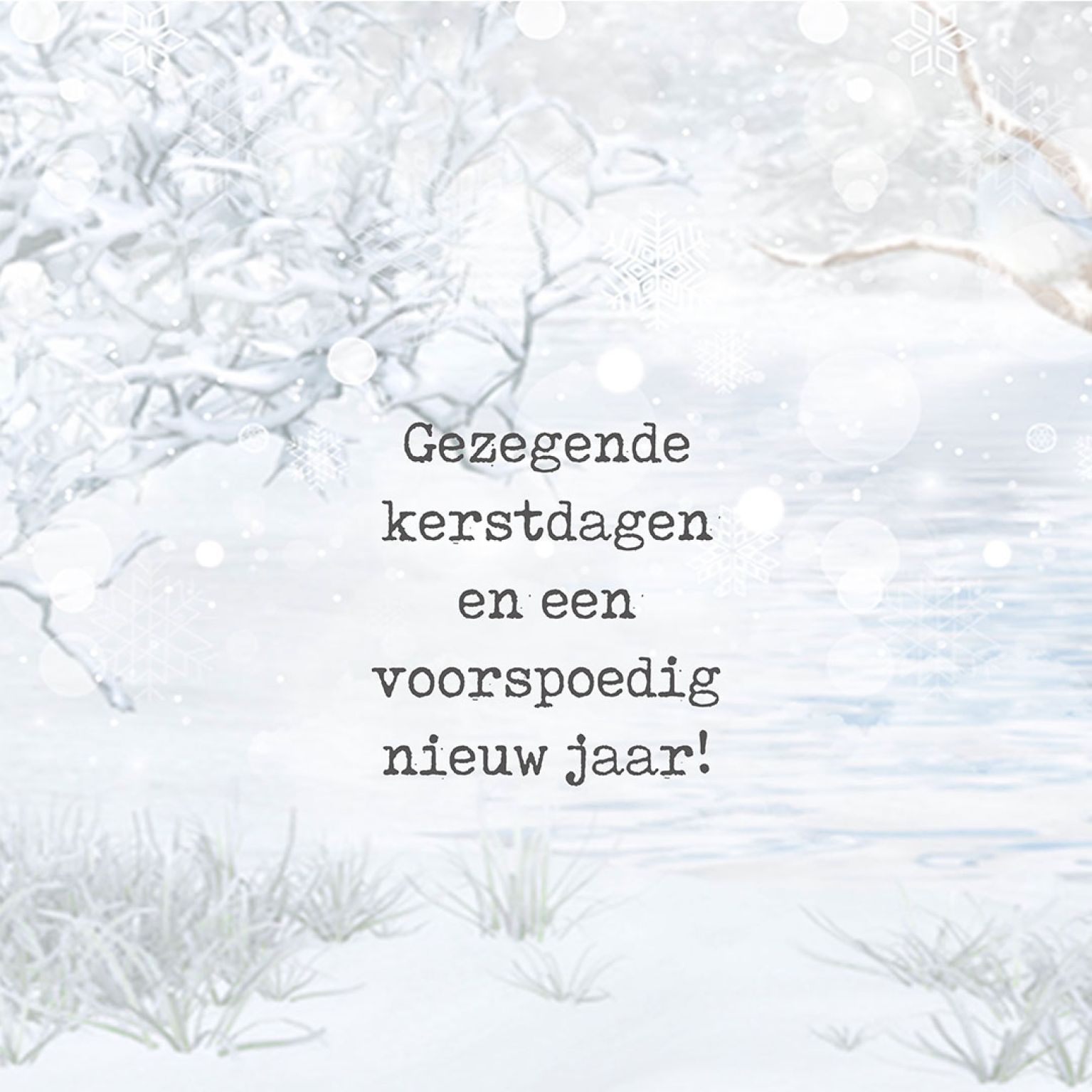 MA41223 - Minikerstkaart 'Besneeuwde takken'