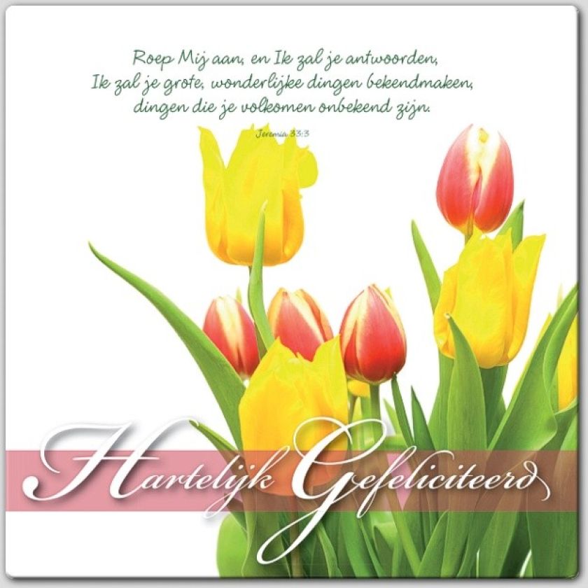 Wenskaart hartelijk gefeliciteerd - 46178 -  Gefeliciteerd bij MajesticAlly