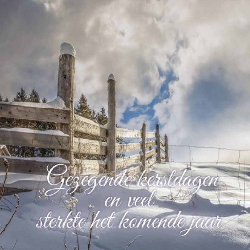 Voordeelpakje kerstkaarten 'Winter' - 6 stuks - MA26058 -  Voordeelpakjes kerst bij MajesticAlly