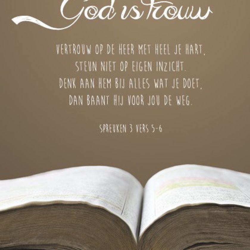 Voordeelpakket 10 verschillende viltborden - MA17520 -  Sale bij MajesticAlly