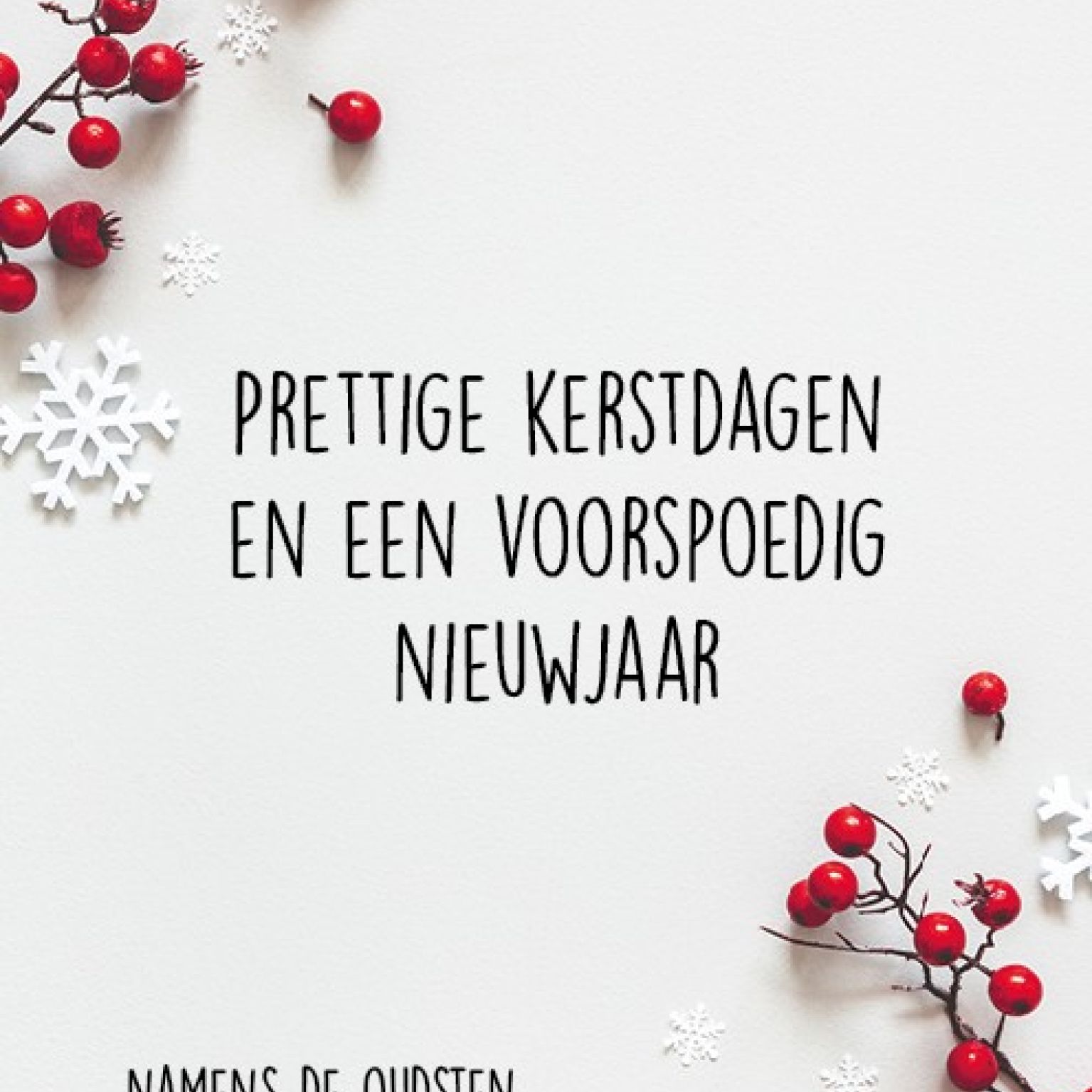 Kerstkaart 'Besjes - oudsten' - MA26240 -  Christelijke kerstkaarten bij MajesticAlly