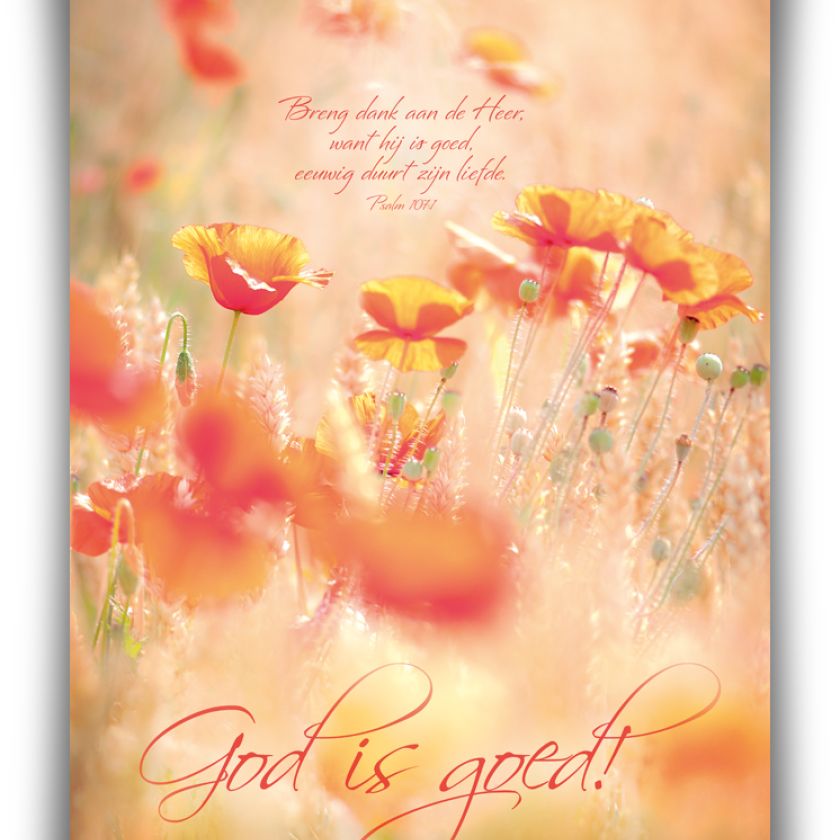 Poster A3 'God is goed' - MA11363 -  Posters A3 bij MajesticAlly