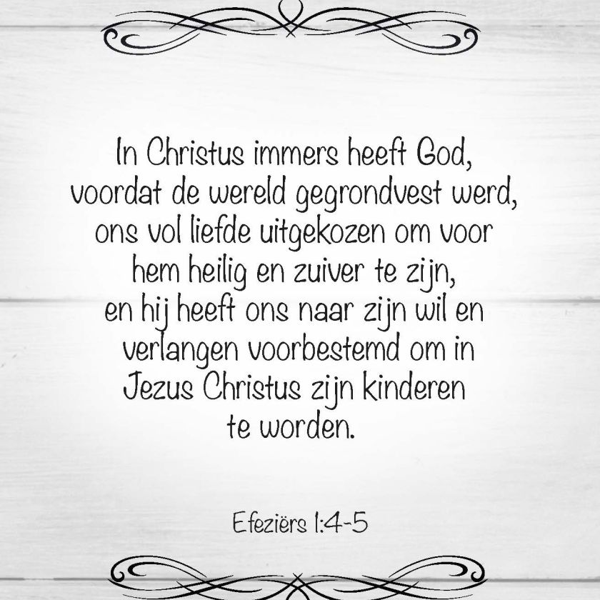 Scheurkalender 365 bijbelse beloften - 9789078893233 -  Kalenders & agenda's bij MajesticAlly