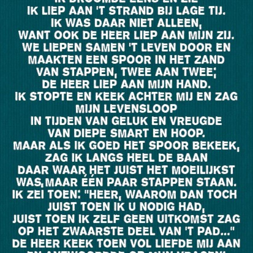 Voordeelpakket 10 verschillende viltborden - MA17520 -  Sale bij MajesticAlly