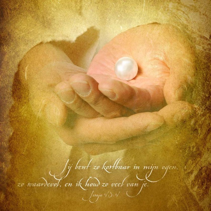 * Voordeelpakket 36 kaarten David Sörensen - MA11100 -  David Sörensen bij MajesticAlly