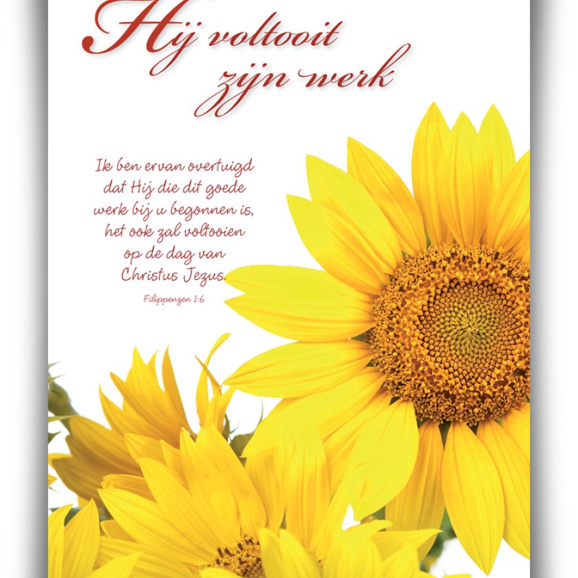 Poster A4 'Hij voltooit zijn werk' - 46812 -  Wanddeco/posters bij MajesticAlly