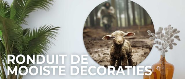 muurcirkels scaled af42e538