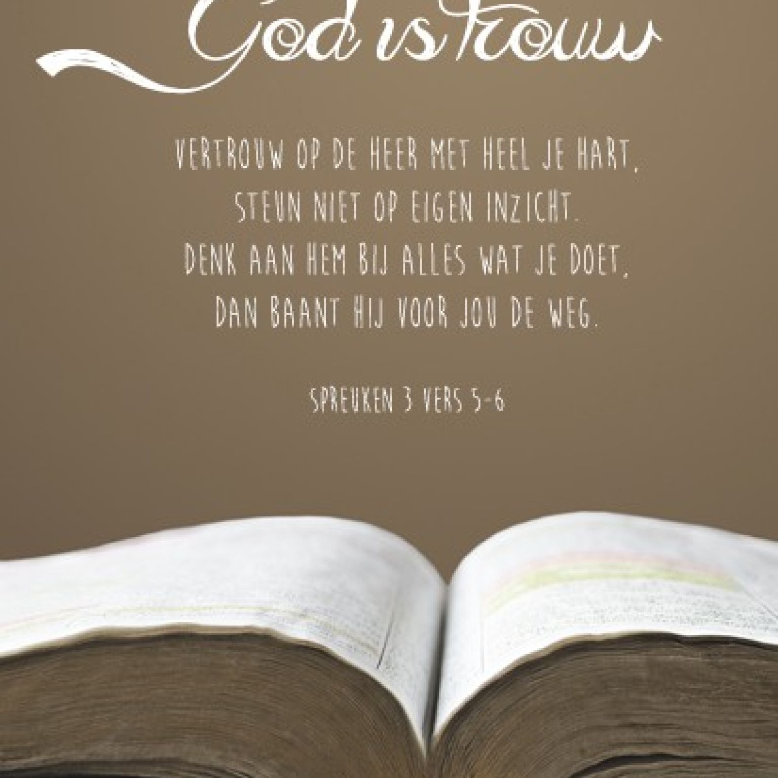 Voordeelpakket 10 verschillende viltborden - MA17520 -  Sale bij MajesticAlly