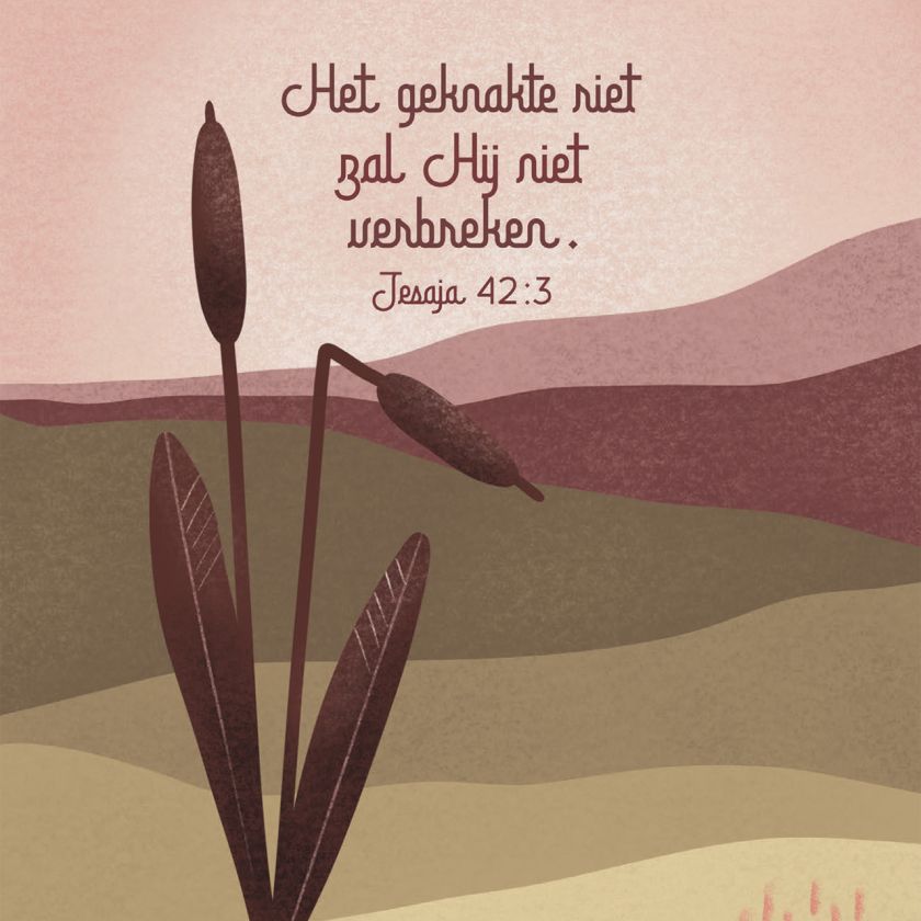 Kaart '"Het geknakte riet zal Hij niet verbreken." -Jesaja 42:3. Sterkte!'