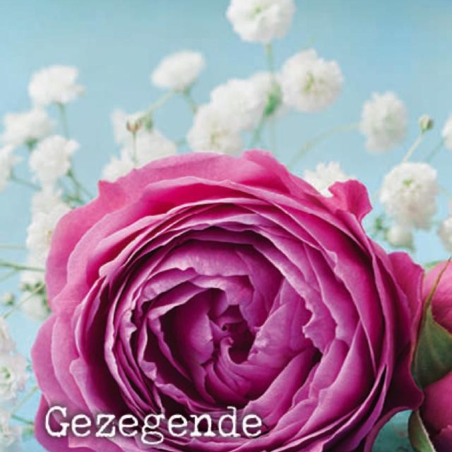 100 Voordeelkaarten kerk 'Gezegende paasdagen - bloem rose' - MA38041 -  Pasen bij MajesticAlly