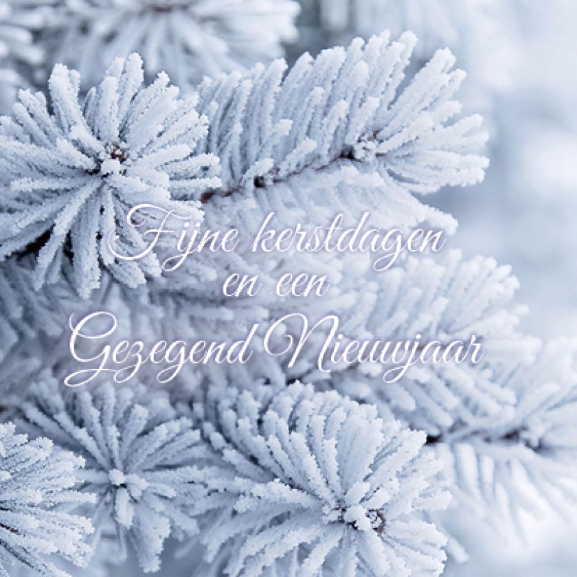 Kerstkaart 'Besneeuwde takken' - MA16012 -  Christelijke kerstkaarten bij MajesticAlly