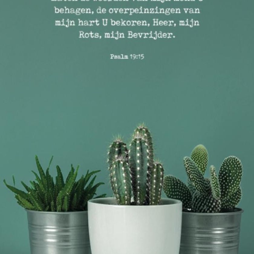 Poster A4 'Laten de woorden van mijn mond' - MA37107 -  Posters A4 bij MajesticAlly