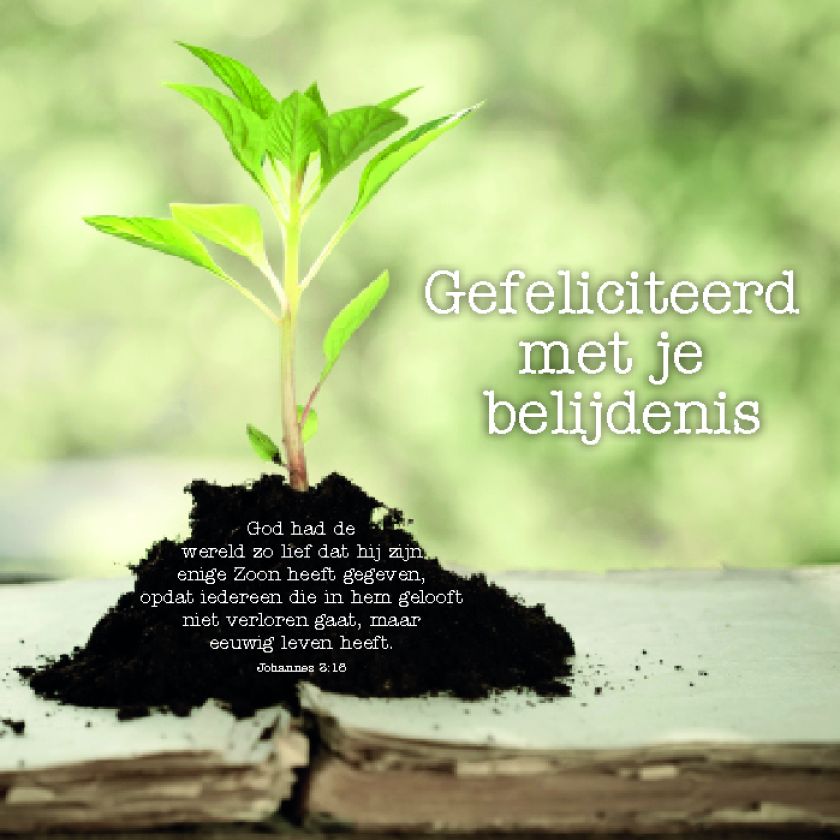 kaart ‘Gefeliciteerd met je belijdenis Joh 3:16’ - MA12307 -  Belijdenis bij MajesticAlly