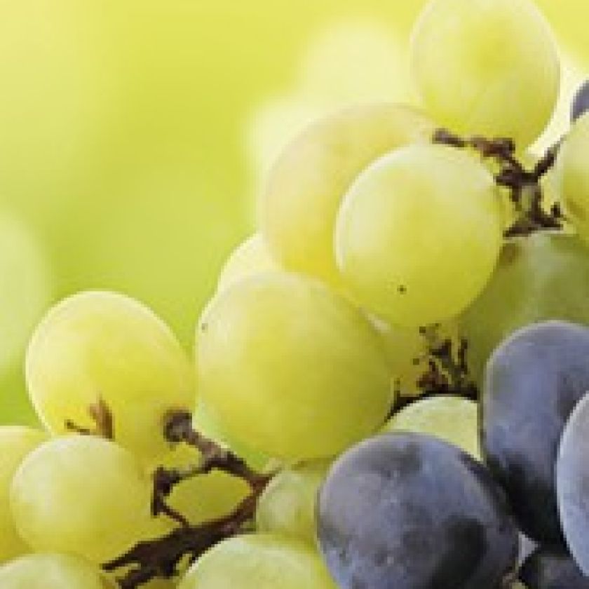 Boekenlegger tg van belijdenis Joh 15:5 - MA15110 -  Lifestyle  bij MajesticAlly