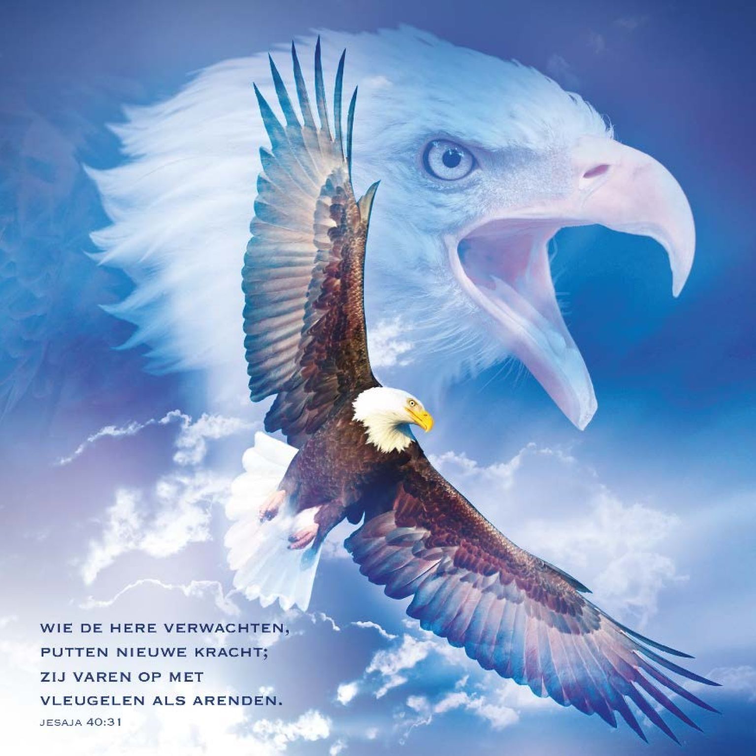 Kaart 'Arenden' - MA11030 -  David Sörensen bij MajesticAlly