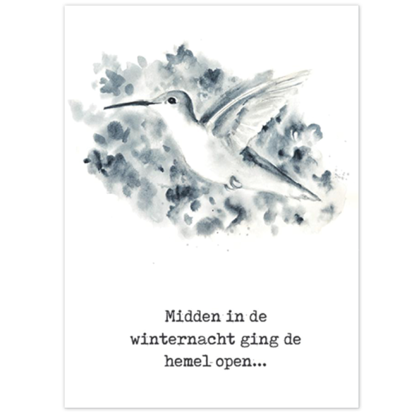 Kerstkaart 'Midden in de winternacht - vogel - MA26203 -  Christelijke kerstkaarten bij MajesticAlly