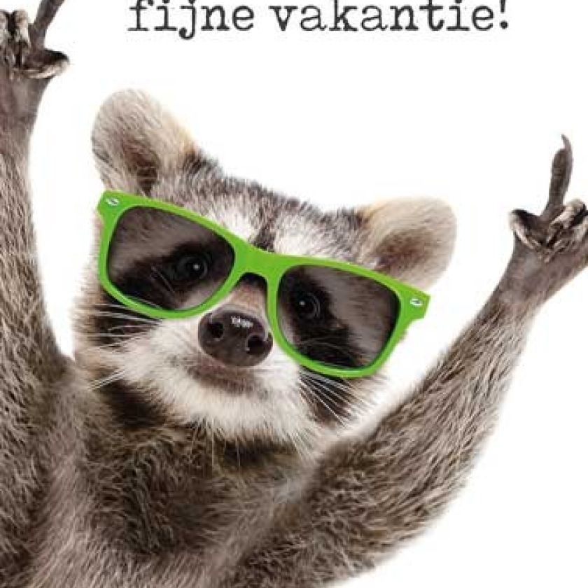 Voordeelkaart 'Fijne vakantie - wasbeer' - MA38068 -  Voordeelkaarten christelijk bij MajesticAlly