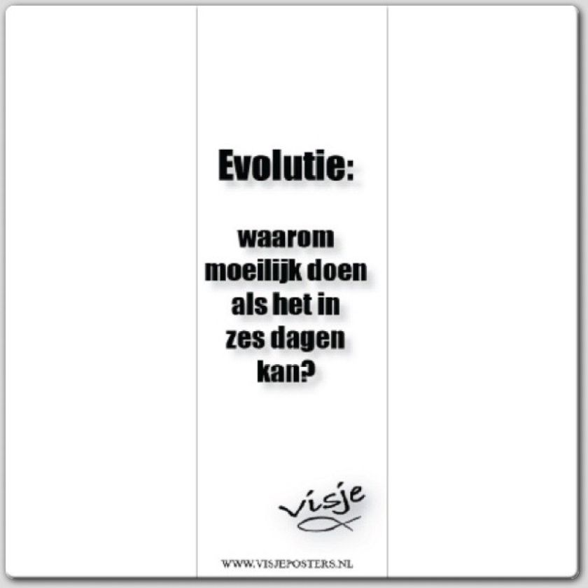 Boekenlegger visje evolutie waarom moeil - 44864 -  Visje bij MajesticAlly