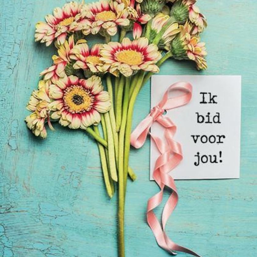 Pakket voordeelkaarten serie 1 - MA38075 -  Voordeelpakjes bij MajesticAlly