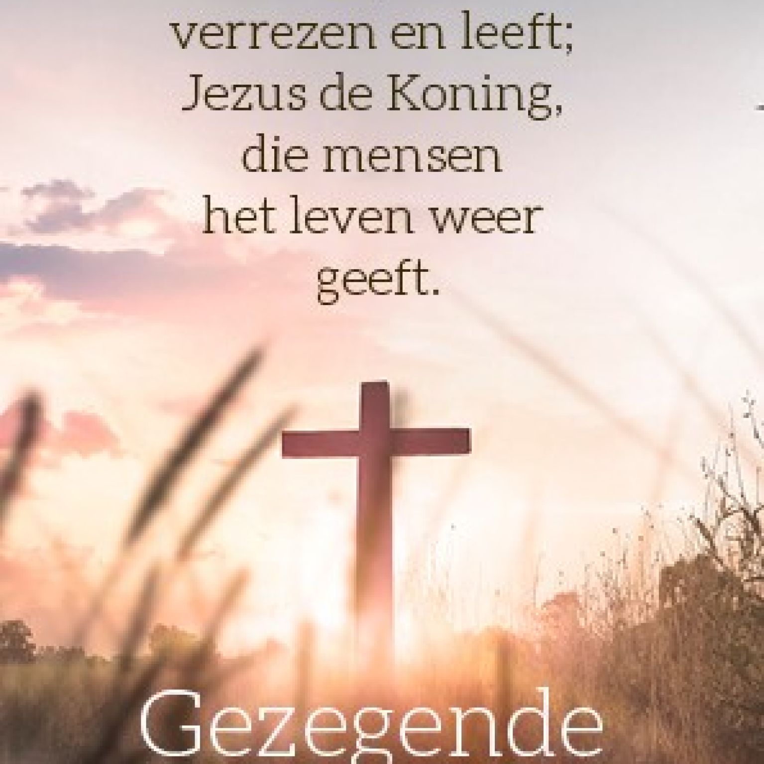 Voordeelkaart 'Gezegende paasdagen - Hij is verrezen' - MA38087 -  Pasen bij MajesticAlly