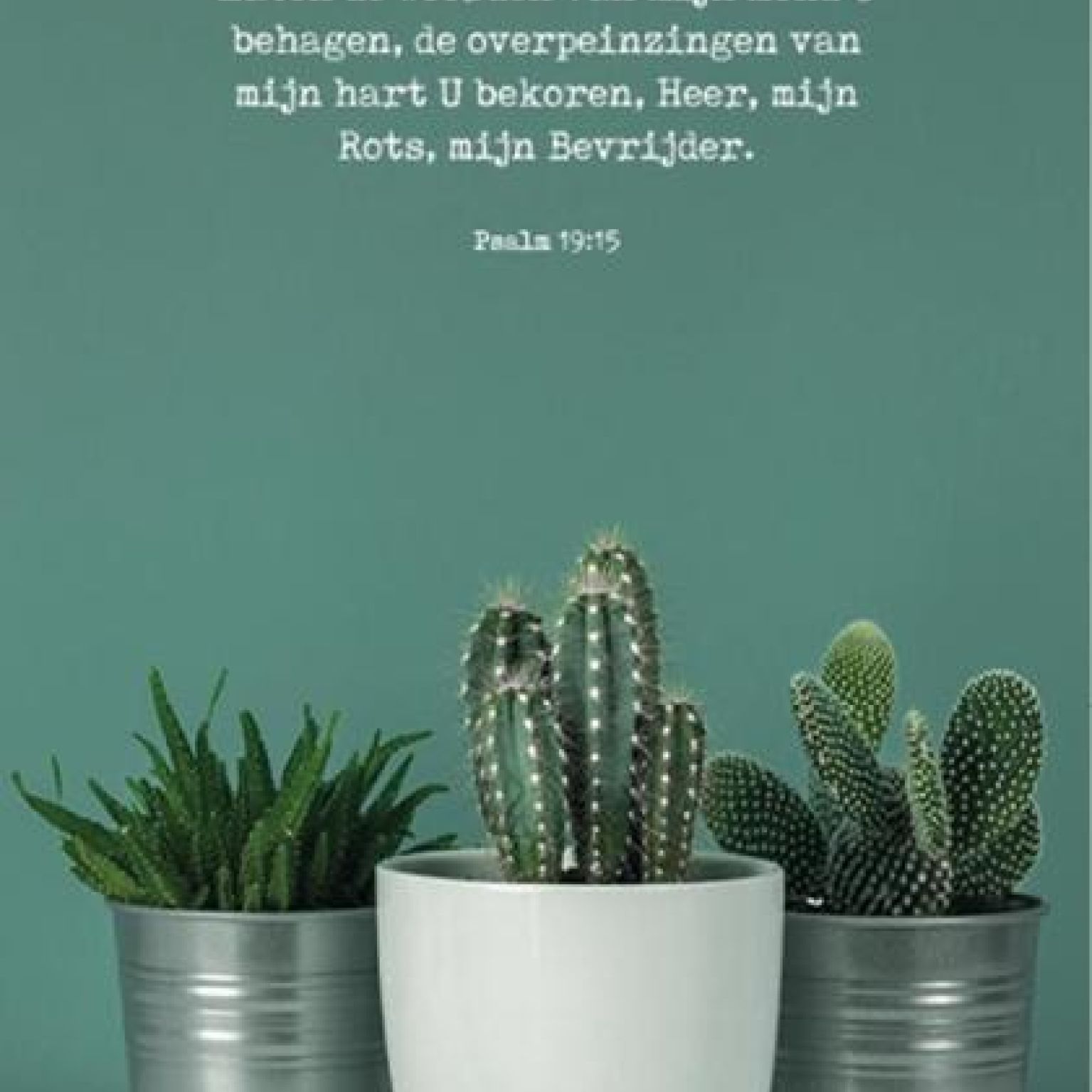 Kaartcadeau 'Laten de woorden van mijn mond' - MA37005 -  Kaarten bij MajesticAlly