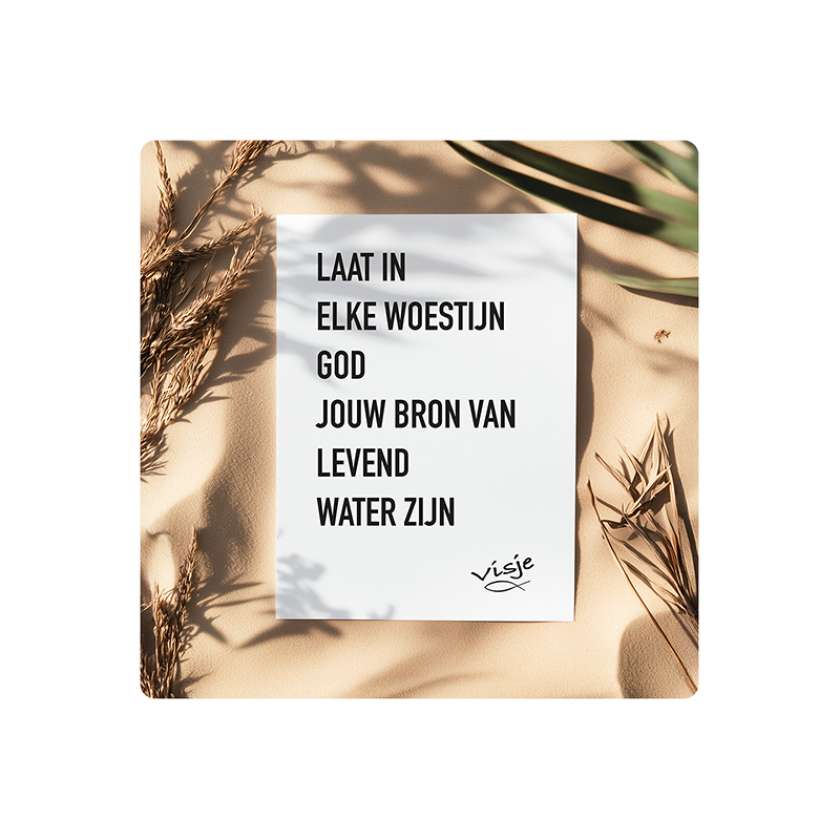 V16008 Visje Cadeaubordjes 15x15 Woestijn bron bb5940b9