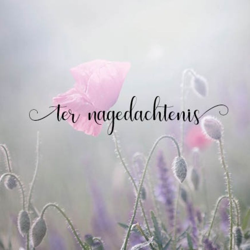 Kaart 'Ter nagedachtenis' (SV) - MA34023SV -  Stille momenten bij MajesticAlly