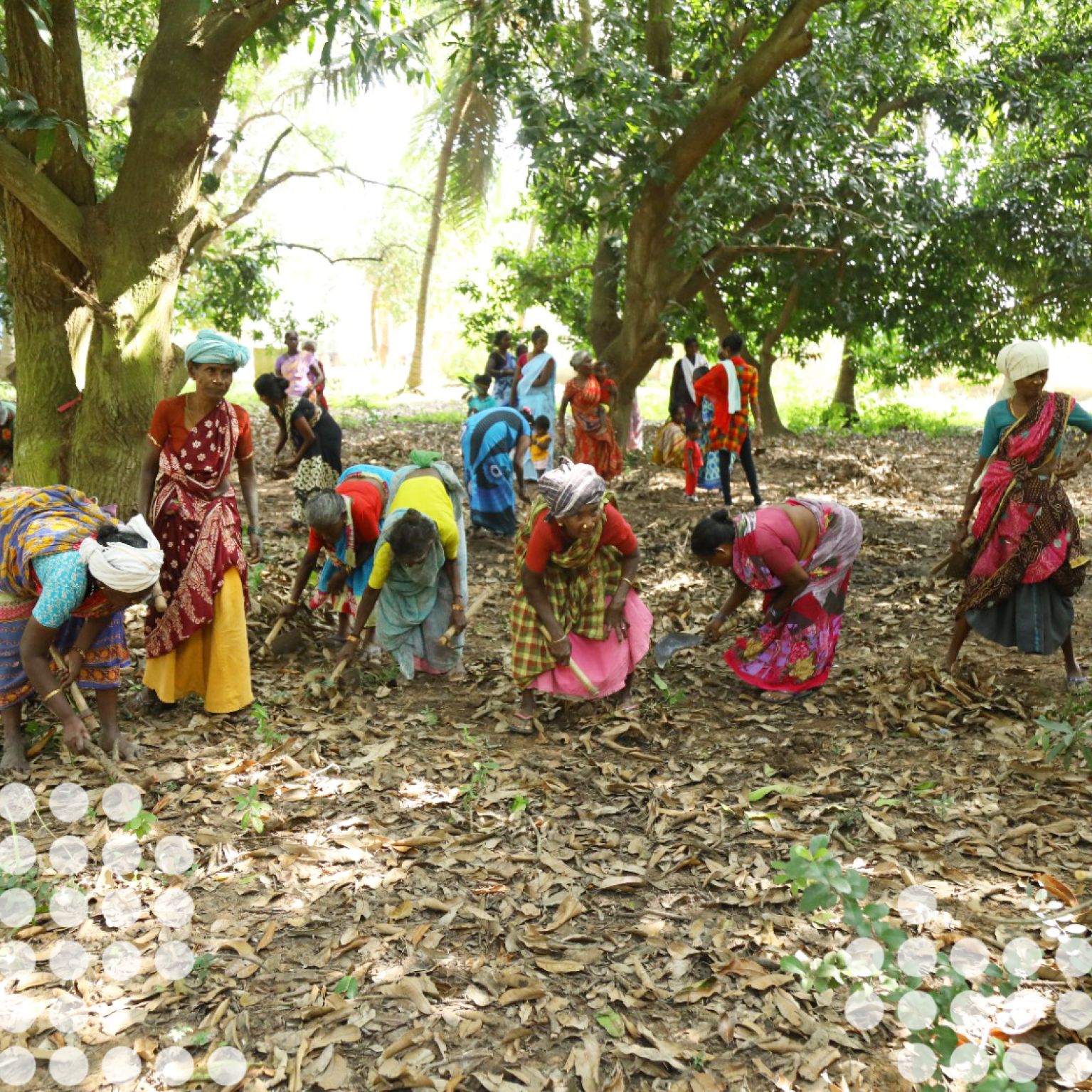 PHOTO 2024 01 24 03 58 26 dots bdec2ca2