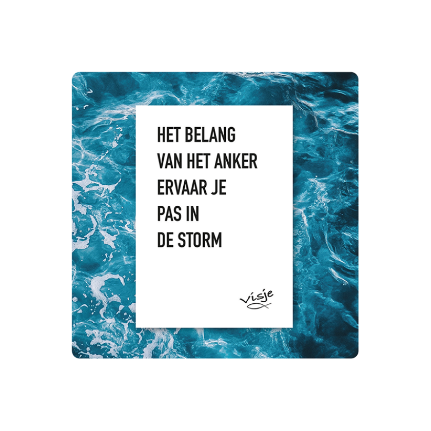 V16011 Visje Cadeaubordjes 15x15 Anker storm bea234c8