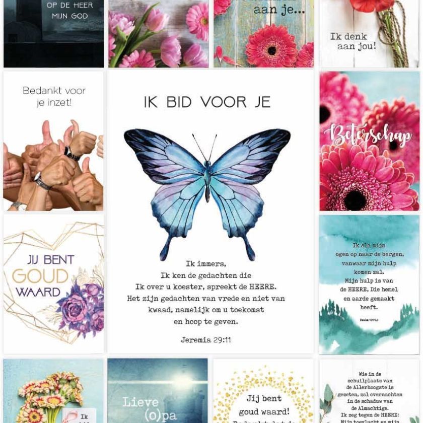 Pakket voordeelkaarten serie 1 - MA38075 -  Voordeelpakjes bij MajesticAlly