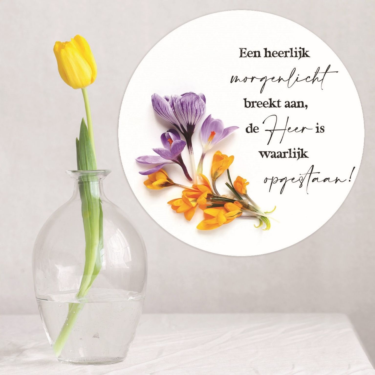 Paascirkel 'Een heerlijk morgenlicht' - MA39903 -  Pasen bij MajesticAlly