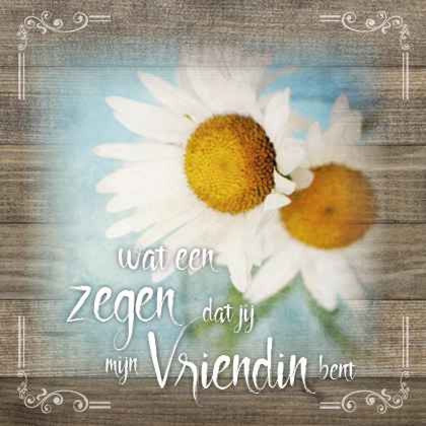 Kaart 'Zegen - vriendin' - MA19011 -  Brocante bij MajesticAlly
