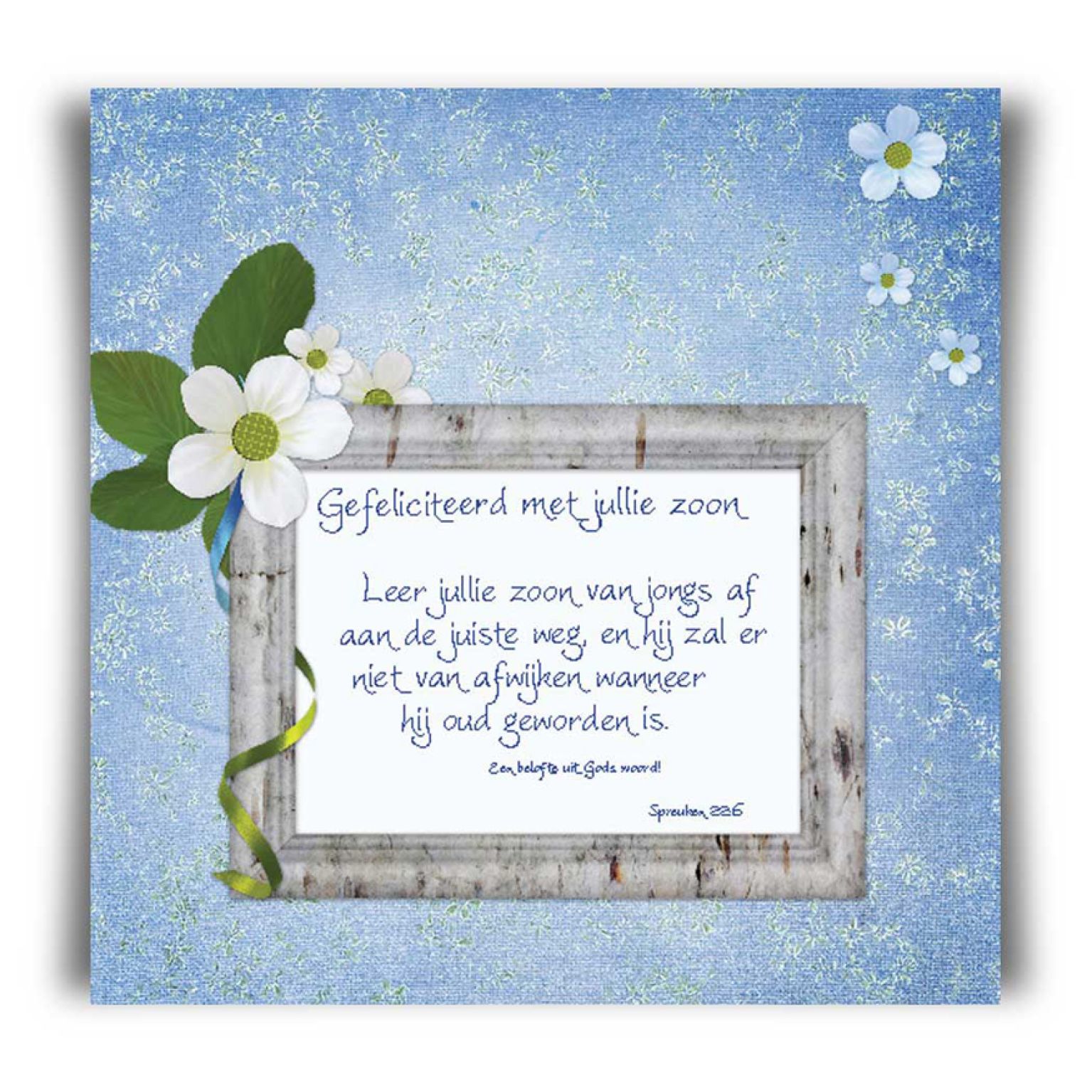 Kaart 'Gefeliciteerd zoon - Spreuken 22' - 45028 -  Bible Message bij MajesticAlly