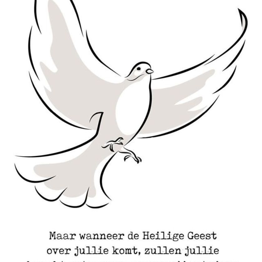 Kaart 'Duif - Handelingen 1:8' - MA38045 -  Pinksteren bij MajesticAlly