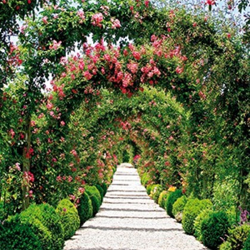 Kalender 2018 Momenten van aanbidding (HSV) - 18739022 -  Kalenders/agenda's 2018 bij MajesticAlly