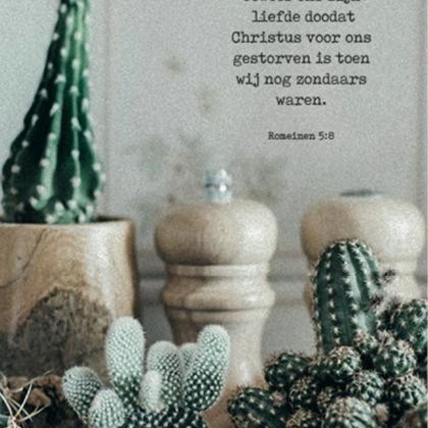 Kaartcadeau Maar God bewees ons Zijn liefde - MA37035 -  Kaarten bij MajesticAlly